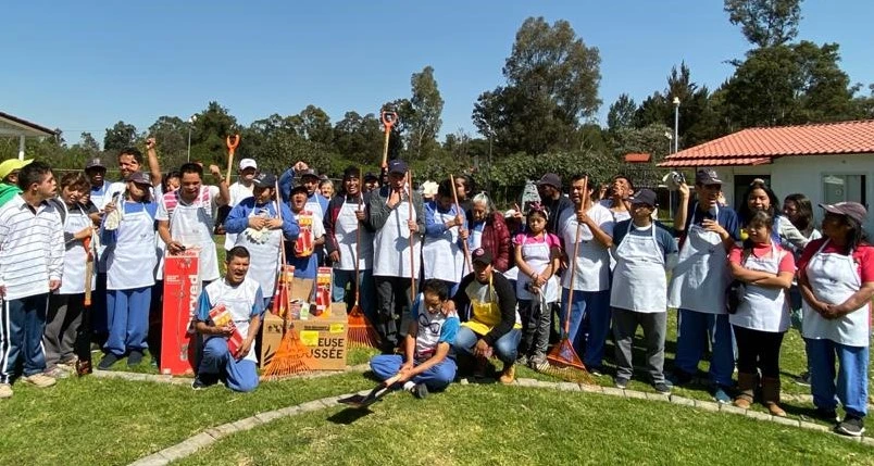 Donativo-de-Palas-